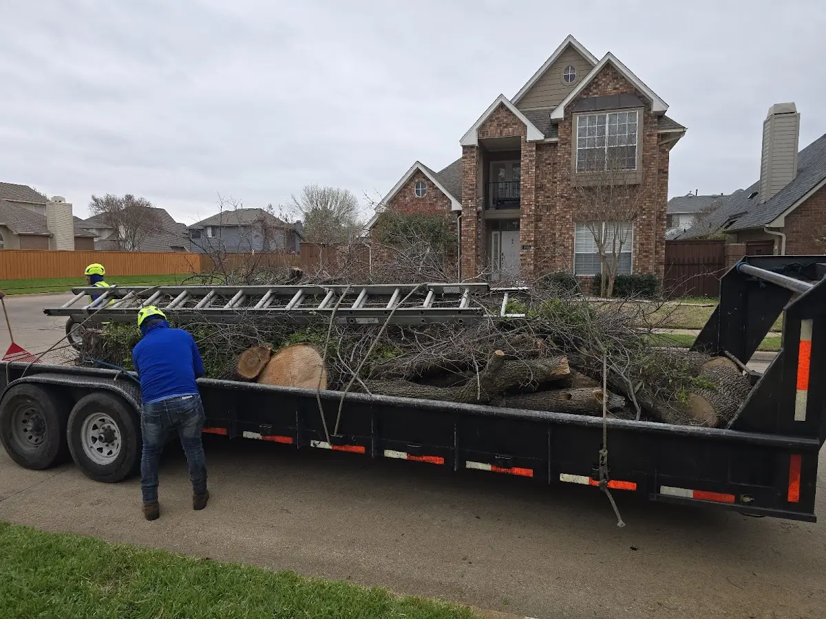 Expert Tree Pest Control with proper safety equipment in South Deerfield